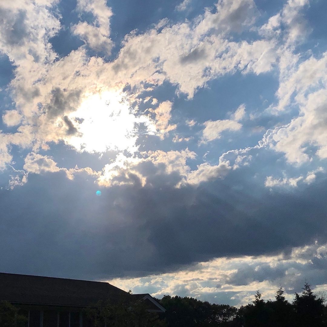 D01c105e E4b7 4b44 Ad0e 6ff95ee2811a 2